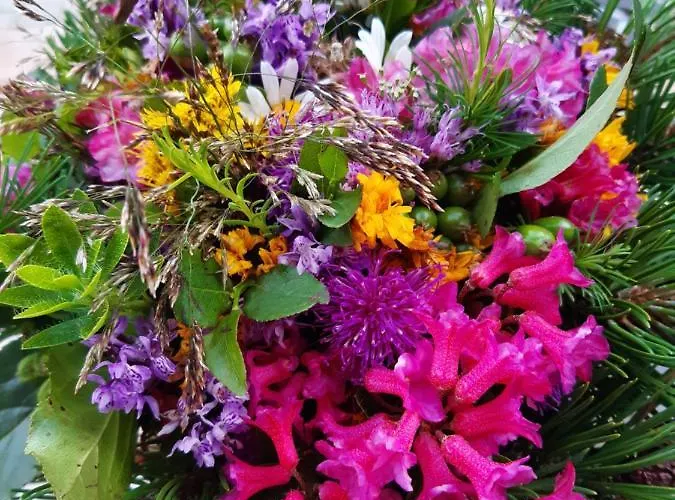 Appartementhaus St. Martin Seefeld in Tirol