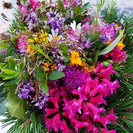 Appartementhaus St. Martin Seefeld in Tirol